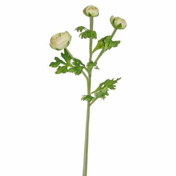 Greenery Branch